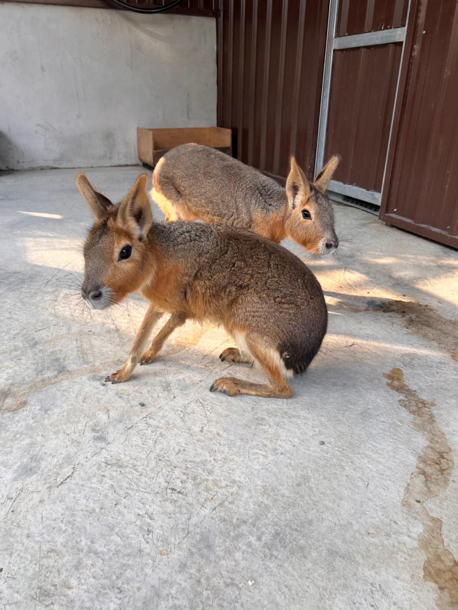 River Forest Leisure Farm Dongshan  Εξωτερικό φωτογραφία