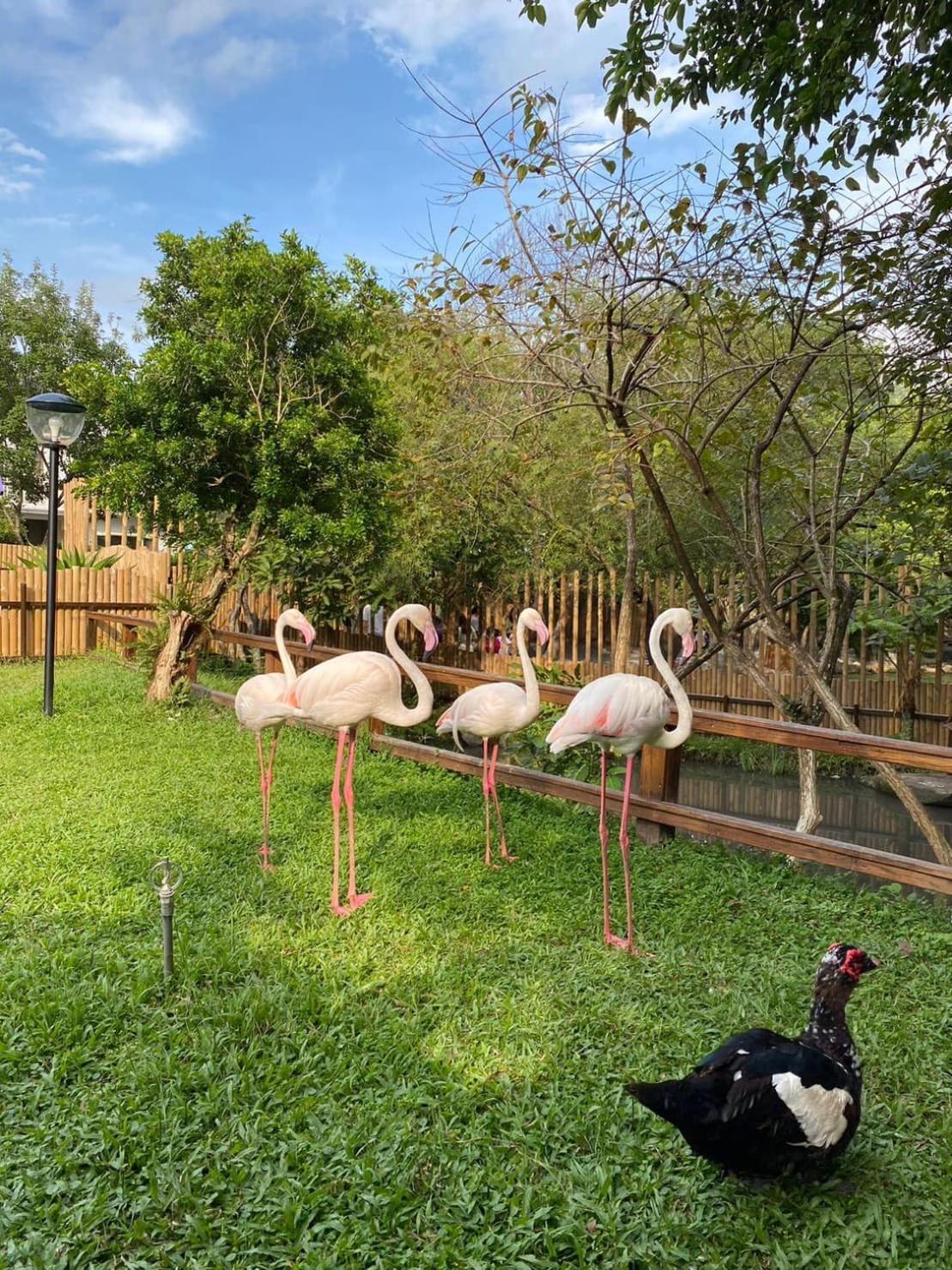 River Forest Leisure Farm Dongshan  Εξωτερικό φωτογραφία
