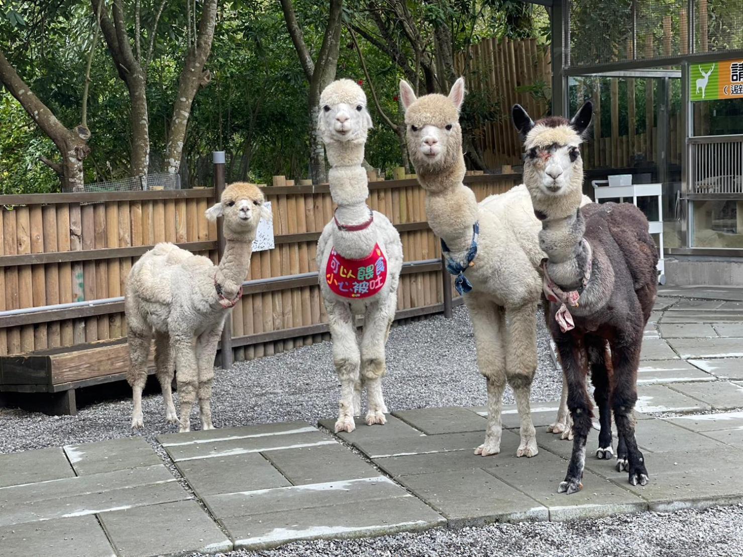 River Forest Leisure Farm Dongshan  Εξωτερικό φωτογραφία
