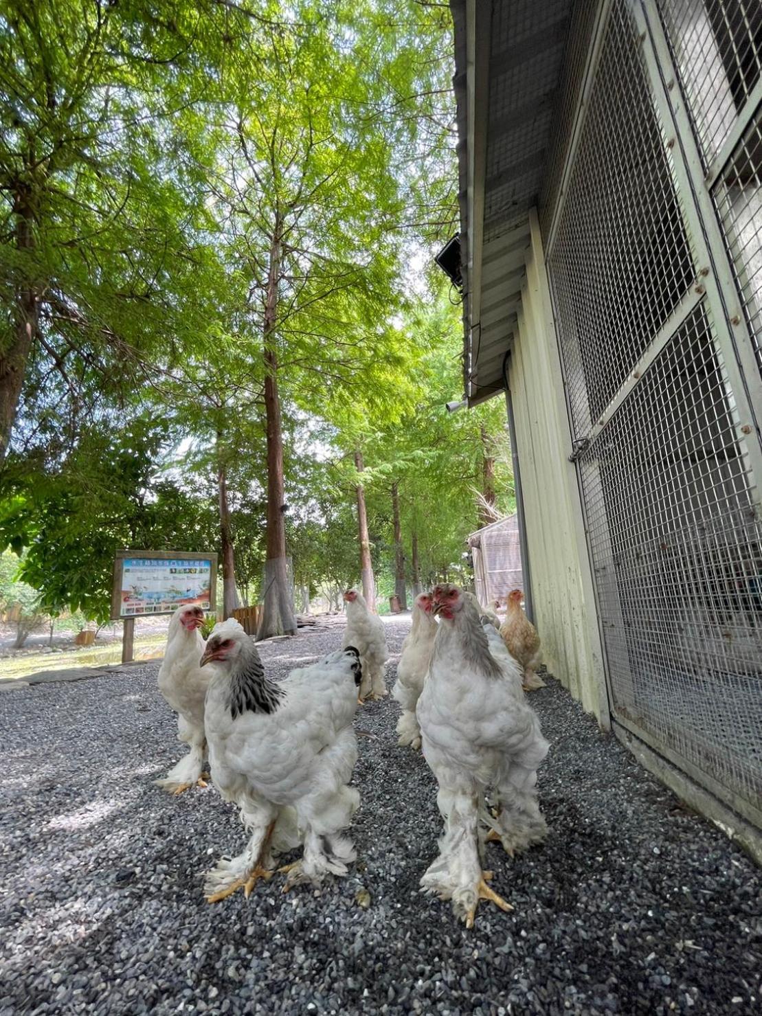 River Forest Leisure Farm Dongshan  Εξωτερικό φωτογραφία